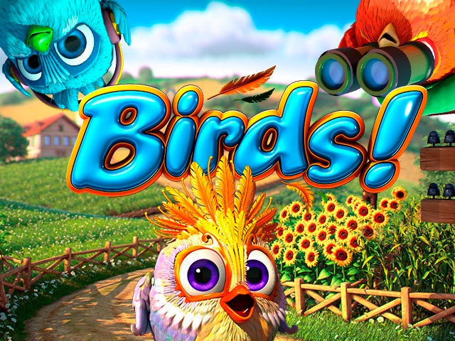 birds