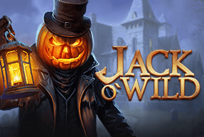 jackowild