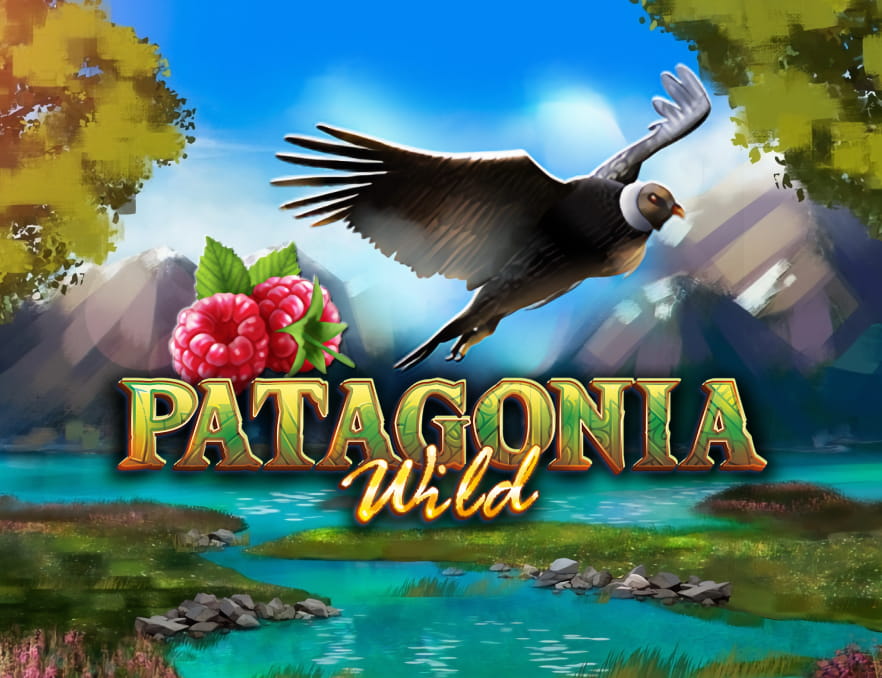 patagoniawilds